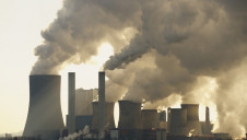 WWF is calling on the Government to introduce a net-zero economic test that ensures that government spending and taxation is aligned towards the 2050 target